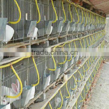 Rabbit Farming Cage Manufacturers