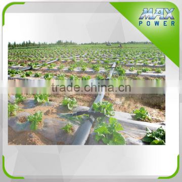 Commercial greenhouse Drip irrigation belt