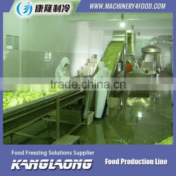 New Design freezing processing line