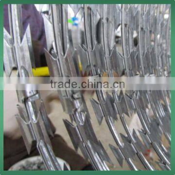 Security Fencing Stainless Steel Razor Barbed Wire photo-3