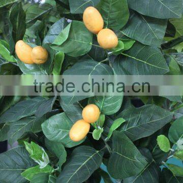 Tropical Mango Trees for Sale Chinese Goods Wholesale Artificial Mango Tree photo-3
