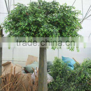 Fake Banyan Tree Real Touch Hot Sale Factory Home /hotel Artificial Ficus Tree photo-3