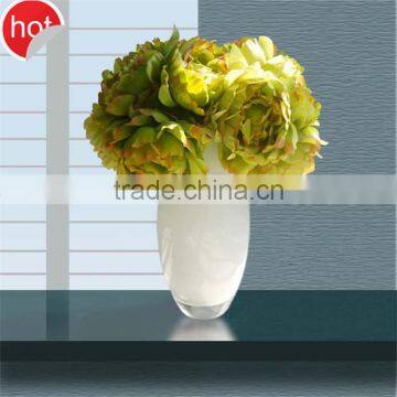 clear glass vase cylinder fashion glass vase