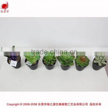 Wholesale Artificial Plants Mini Succulents for Indoor Decoration photo-6