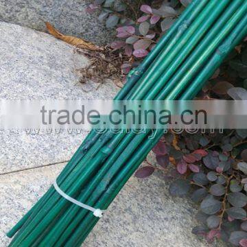 Dyed Different Colors Bamboo Sticks for Garden&agriculture