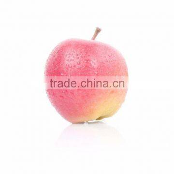 Hot selling of Chinese Fresh Apple for Sale