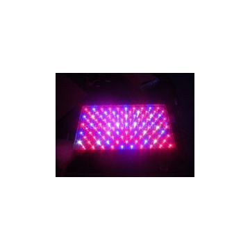 Cheap Red LED Grow Plant Lights RCG100*3W for Horticulture Greenhouse