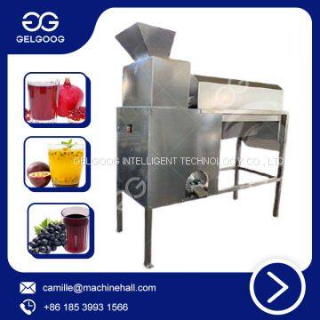 Small Scale Juice Making Machine Passion Juicer Low Price