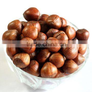 Organic Grade A High Quality Hazelnut Hazelnut buyers