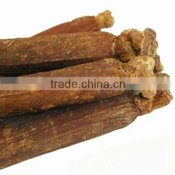 High Quality Korean Honey Red Ginseng in Best Price