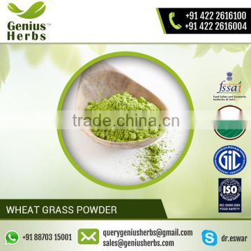 100% Water Soluble Organic Green Wheat Grass Powder for Sale