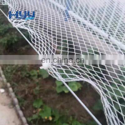 100%HDPE with UV treated anti bird netting for catching birds fishing net