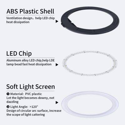 New Style Portable 10 Inch RGB Selfie Ring Light Profissional Selfie Ring Light for Phone Camera photo-3