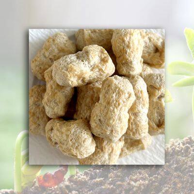 Textured Soy Protein (TVP)