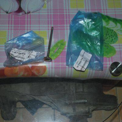 BMW E90 / E60 / F18 intake valve ，  BMW intake valve