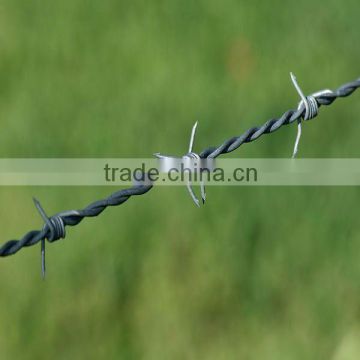 Double Twisted Barbed Wire/Thorn steel anping price