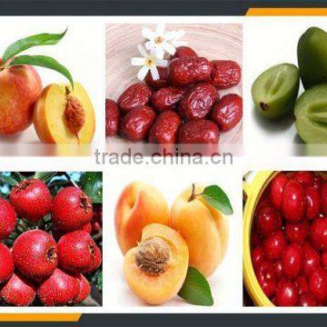 Leader Big Cherry Pitting Machine With Website:leaderservice005 photo-4