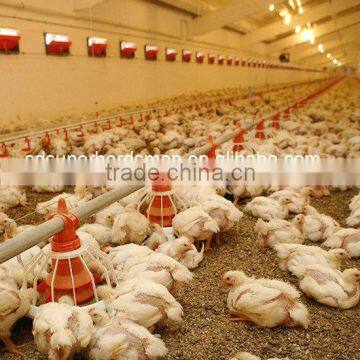 High Quality Automatic Broiler Poultry Farming Equipment