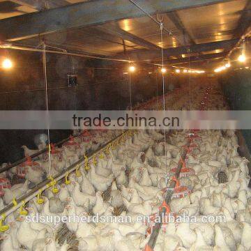 Top quality automatic poultry farm equipment for broiler