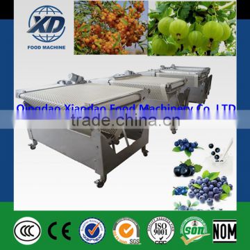 Industrial sea buckthorn sorting inspection grading machine