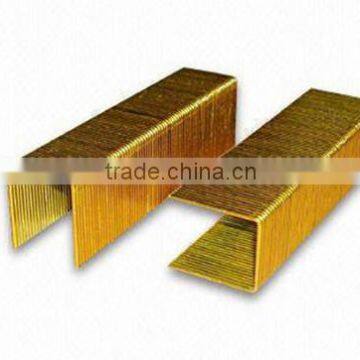 Hot sale brass carton P staple series alibaba China