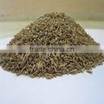 Cumin Seeds Supplier Unjha