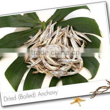 DRIED ANCHOVY FISH GOOD QUALITY - SPECIAL PRICE