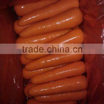 2014 new China carrot