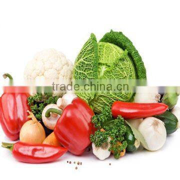 best selling wrap 500 meters long SGS certified food grade wrap good stretch film