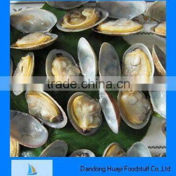 frozen yellow clam seafood