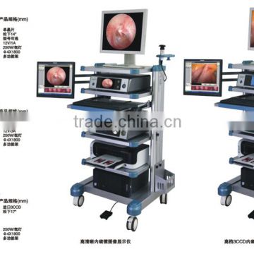 Electronic Endoscope Type endoscope image system