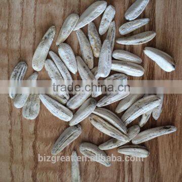 Supply Chinese Roasted Salted White Sunflower Seeds with Good Quality For Sales