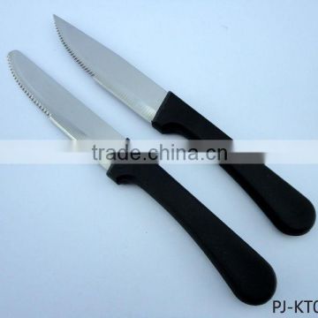 Plastic Handle Steak Knife