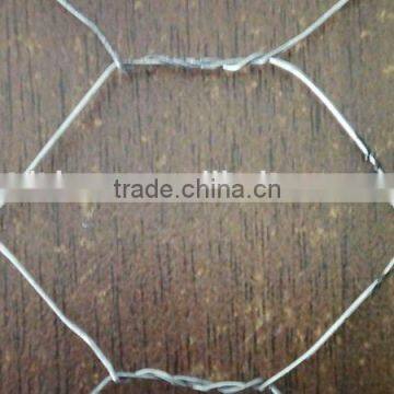 10*10electro galvanized hexagonal wire mesh factory