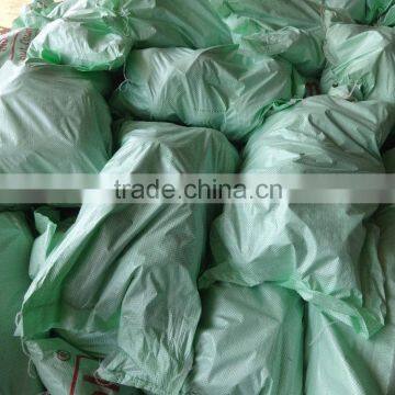 Organic Coconuts Exporter photo-5