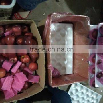 Red Delicious Apple/ Huaniu Apple photo-2