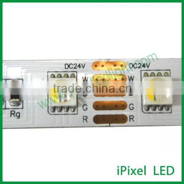 wholesales best price 24v rgbw flexible led stripe 4 in 1 led