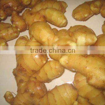 new crop of ginger/Europe quality level