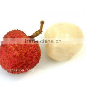 2014 Newest Crop Chinese Canned Litchi in Syrup