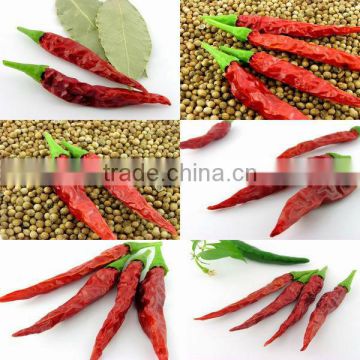 HOT RED CHILLI POWDER