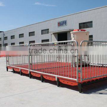 pig farming breeding equipment/ gestation cage/pig cage/Monomer sty/pig stall/sow single stall/nursery stall/farrowing cage