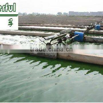 Top quality spirulina phycocyanin