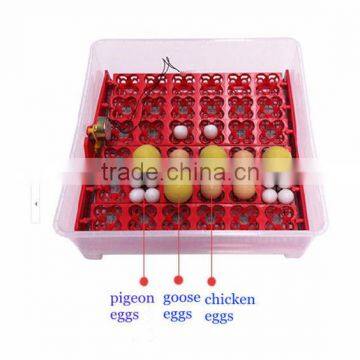 mini incubator and brooder for 36 eggs