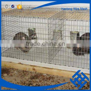 Poultry Farming Equipment Rabbit Battery Cage photo-2