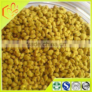 bulk natural corn pollen of gems in natural food