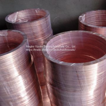 Solid Copper Gasket