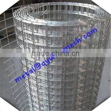 Galvanized 1/4 Inch Galvanized Welded Wire Mesh / Lowest Price Welded Wire Mesh photo-3