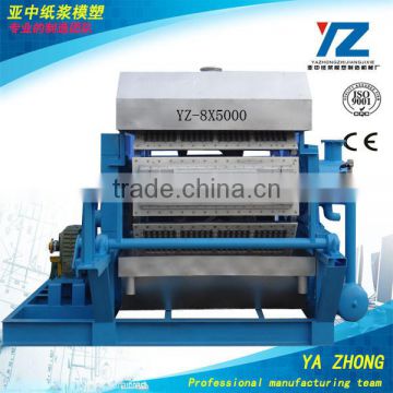 egg tray, fruit tray equipment