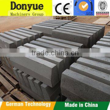 China Top5 Brick Machine Manufacture of DONGYUE Brand With Germany Technology Brick Machine photo-6