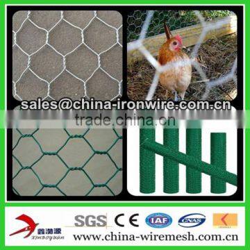 chicken wire mesh net